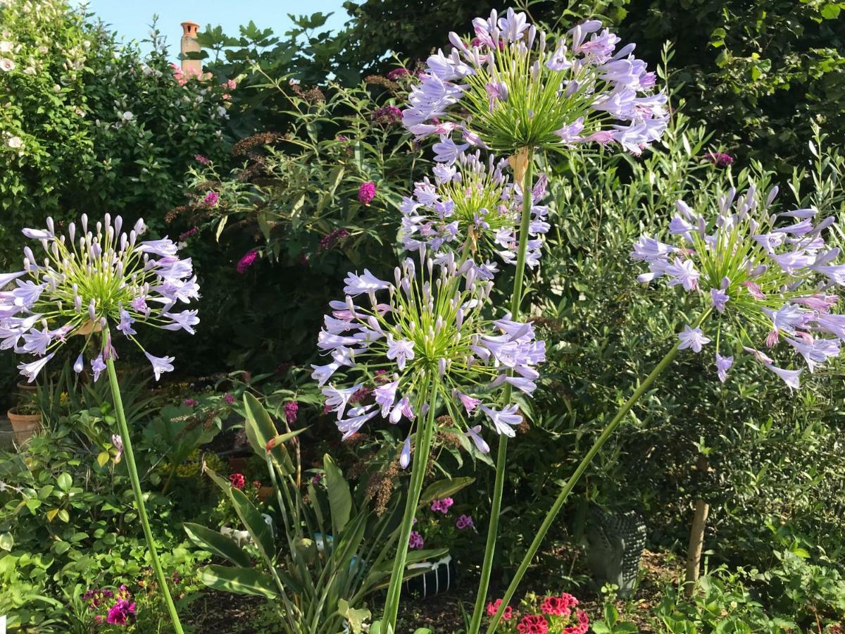보르도 Violette 아파트 외부 사진