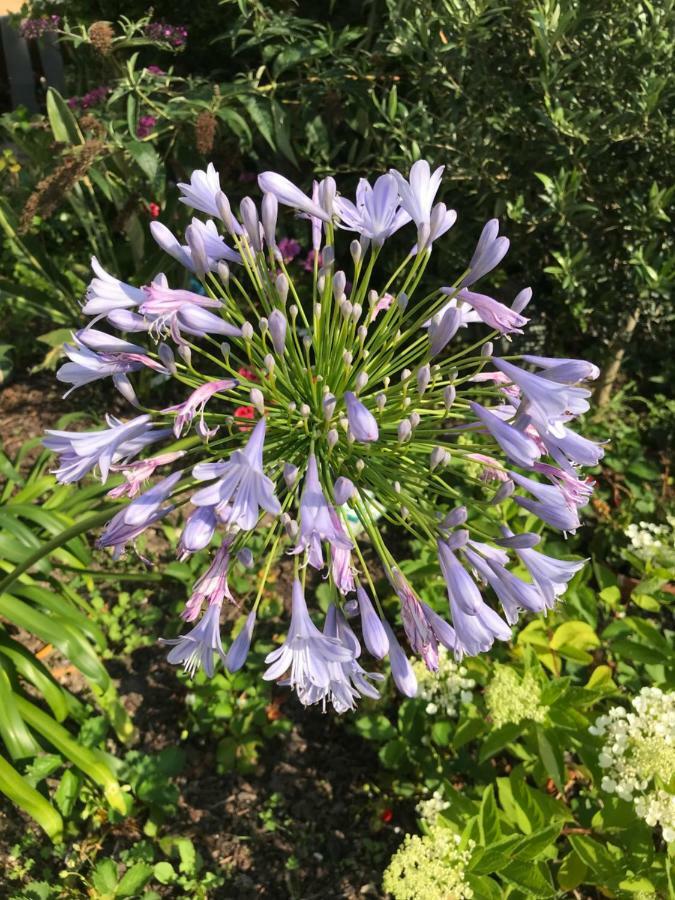 보르도 Violette 아파트 외부 사진